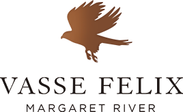 vf logo